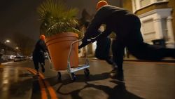 Trois personnes poussant une grande plante en pot sur un chariot roulant dans une rue la nuit.