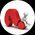 Photo de profil de Said Mohammad Safi