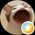 Photo de profil de Coincoin