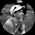 Photo de profil de Adam Branger
