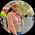Photo de profil de Traoré Awa